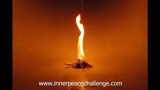 BEING A LIGHT IN TIMES OF DARKNESS (Guided Mindfulness MEDITATION)