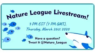 Livestream 3-26-20