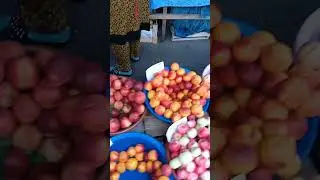 лето в Фергане