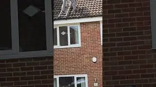 Roof cleaning UK 07858424693