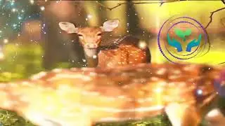 Песня про оленя. Миша Инжелант