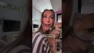 Hice un chocolate especial para gatitos