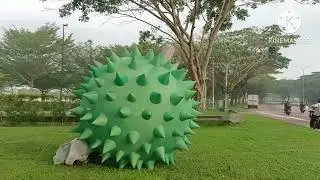 flog tipis tipis,