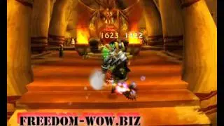 Wrath of the Lich King WoW Server 3.3.5 level 80 -FreeDom-Wow.biz.avi