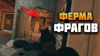 Ферма фрагов ( Монтаж: Rainbow Six Siege, Pubg, Ring of Elysium )