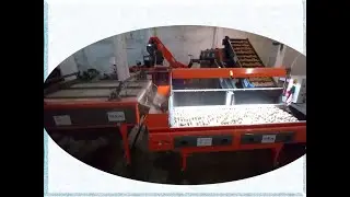 Фасовка овощей в сетку (видео)