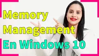 Como Reparar Memory Management En Windows 10 - 2021