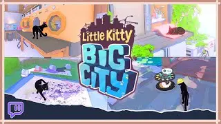 Little Kitty's FIRST TIME in The Big City! | Little Kitty Big City