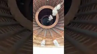 Is it permissible for concrete to free fall from such a height..#shorts