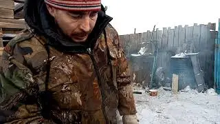 Закаляю звезды  силиканью!!!