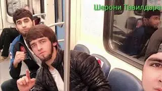 ШЕРОНИ. 