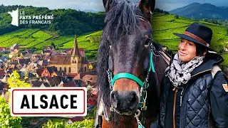 Rencontre avec un artiste équestre - Julie Raynaud - 1000 km à cheval - Saison 1 - EP 14 - SBS