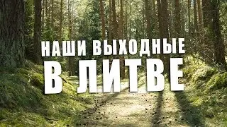 Никогда не садись на муравейник... Литва, гуляем по лесу