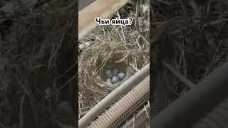 Ремонт УАЗ
