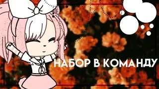 Набор в команду+приглашения в команду для мишель и мерли