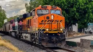 ¡Más y Más BNSF ES44DC's! | BNSF 7033 rumbo a San Juan de los Lagos