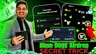 Blum DOGS Airdrop Secret Trick | Blum Airdrop Withdraw Bank Account | Binance Scroll SCR