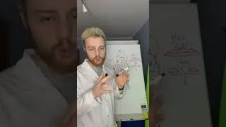Учимся правильно считать математику