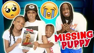 WE LOST OUR DOG LOUIE (MISSING DOG)