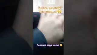 натянул кота на руль, #ауди, #зима, #лайк #лайфхаки, чехол на зеркало от льда.