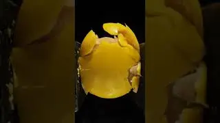 What's Inside a YELLOW Reese's? 🟡 