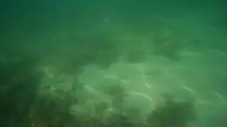 2018 0731 160646 007