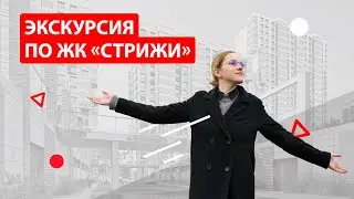 Видеообзор ЖК «Стрижи в Невском»
