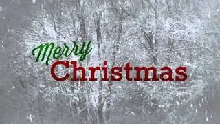Merry Christmas Gracie