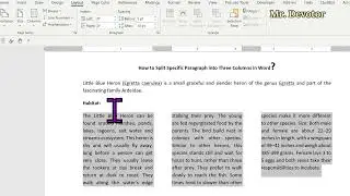 How to Split a Specific Paragraph into Three Columns in Word