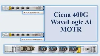 Ciena 400G WaveLogic Ai MOTR [ Muxponder Optical Transponder Module ]