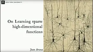 2023 CCSP Workshop - Joan Bruna (NYU)
