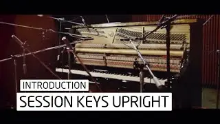 e-instruments Session Keys Upright