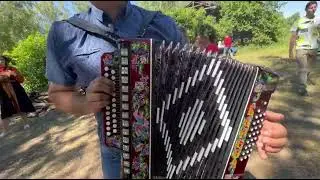 Полынь-трава.