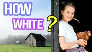 The Whitest States in America (and WHY they’re so White)