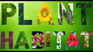 Plant Habitat||Science Lesson