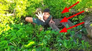 NIAT CARI UMPAN IKAN BUNTAYANG
