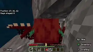 Solo Minecraft Survival