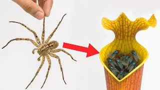 Giant House Spider vs Pitcher Plant