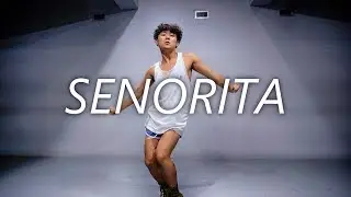 Shawn Mendes, Camila Cabello - Senorita | DOHOON choreography