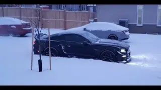 5th Year on Bridgestone Blizzak WS80's 2016 Ford Mustang GT Tire & Driving Review! 