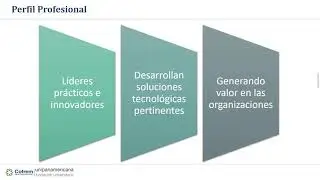 Enfoque del programa ingeniería de sistemas.