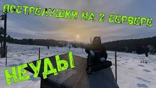 Dayz 