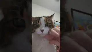 Chloe