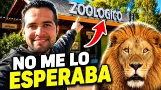 Zoológico Nacional de Chile🦒Santiago 2024