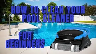 How To Clean A Dolphin Pool Cleaner - For Beginners