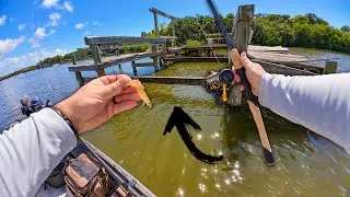 Fishing Live Shrimp and this Dock was LOADED! Engine Failure + Boat Update