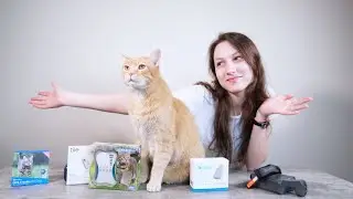 Top 5 Best Cat Trackers in 2022 (We Tested Them All)