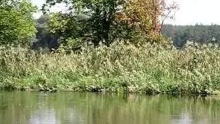 Autumn river blue sky and beautiful landscape