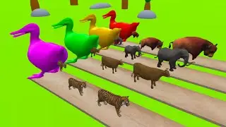 4 Giant Duck Cartoon, Elephant, Tiger, Cow, Bull Wild Animals Crossing Fountain 2023
