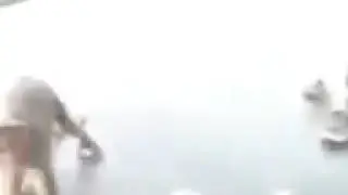 Обезьяна и собака